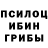 Псилоцибиновые грибы MAGIC MUSHROOMS Mr. Bcenpo100
