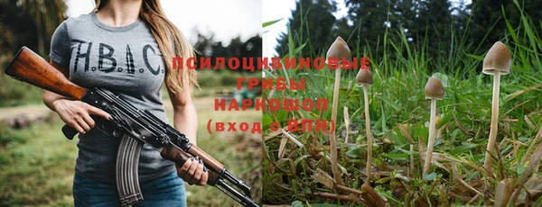 spice Баксан