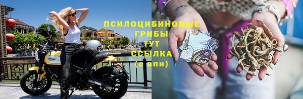 spice Баксан