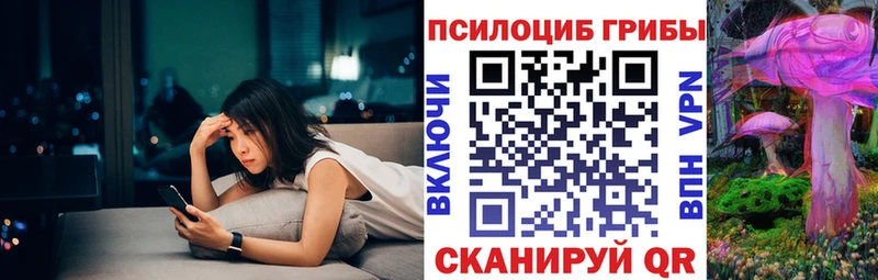 Псилоцибиновые грибы Psilocybine cubensis  Купить где  Мариинский Посад 