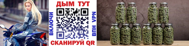 Купить где  Мариинский Посад  Бошки марихуана White Widow 